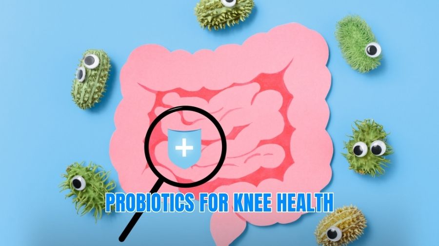 Probiotics for Knee Health: Can Gut Bacteria Really Help Your Joints